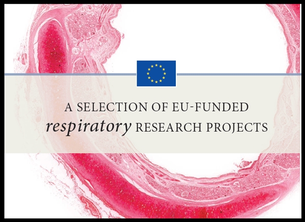 EU research project guide
